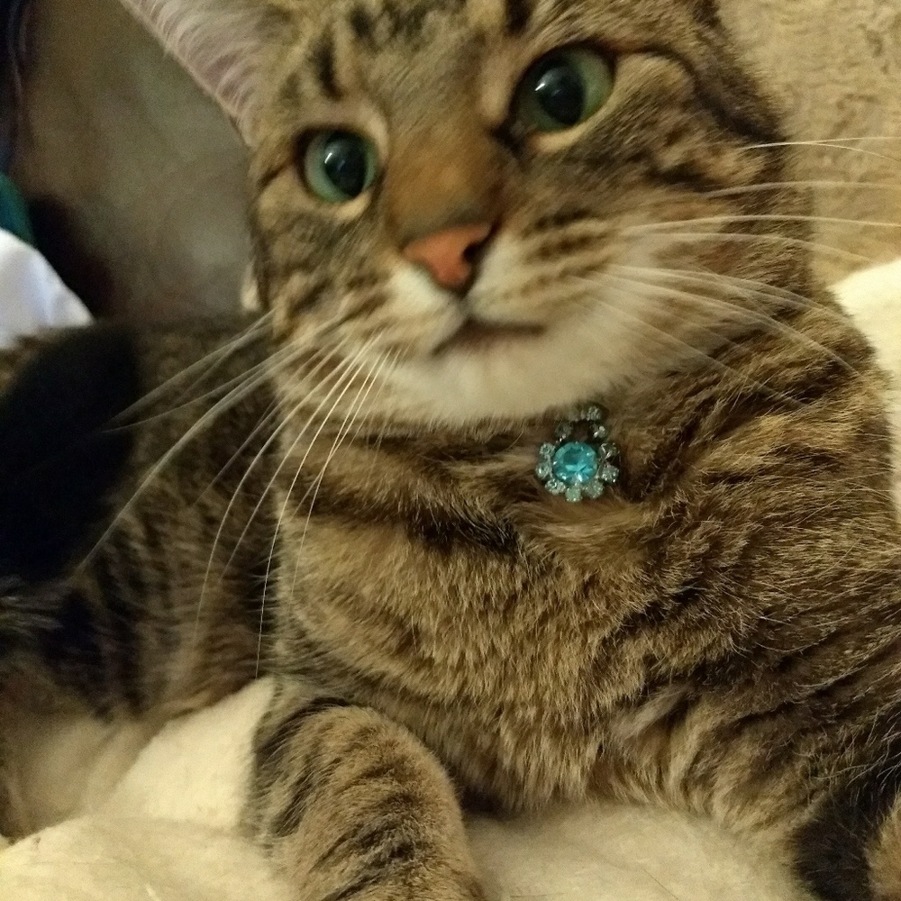 Bundles of Awesomeness